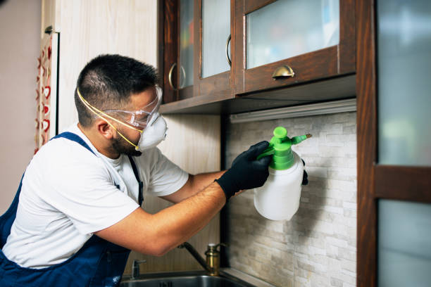 Best Wasp Removal Services  in Huber Ridge, OH