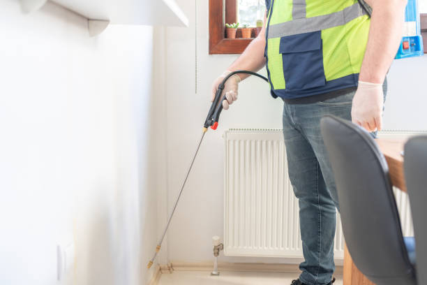 Best Local Pest Control Services  in Huber Ridge, OH