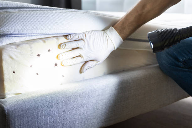Best Affordable Pest Control Services  in Huber Ridge, OH