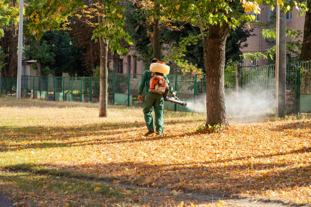 Best Pest Control Near Me  in Huber Ridge, OH