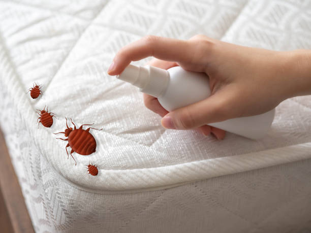 Pest Prevention Services in Huber Ridge, OH