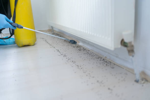 Best Pest Inspection Near Me  in Huber Ridge, OH