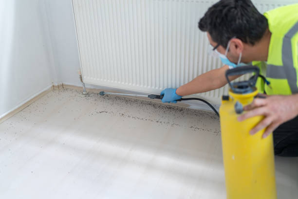 Best Best Pest Control Companies  in Huber Ridge, OH