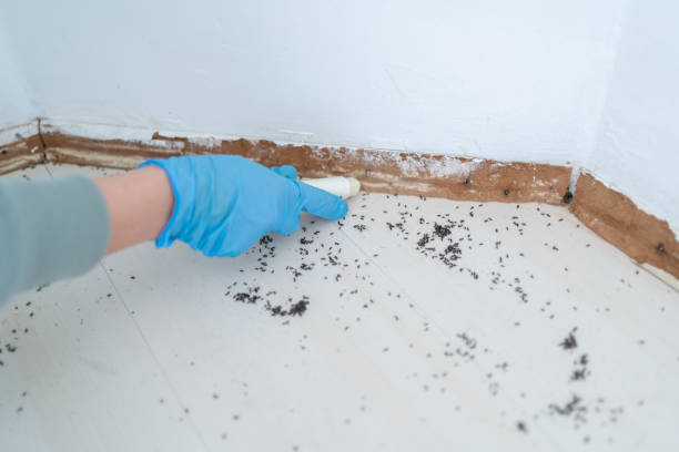 Best Exterminator Services  in Huber Ridge, OH